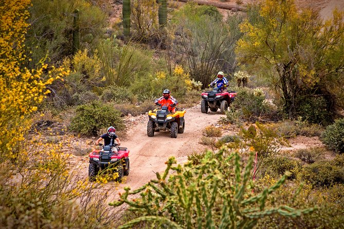 Guided Arizona Desert Tour by ATV - Centipede Tour - Quick points before you book