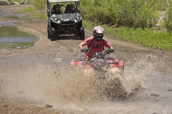 Guided Arizona Desert Tour by ATV - Centipede Tour - Who should book, and who should think twice