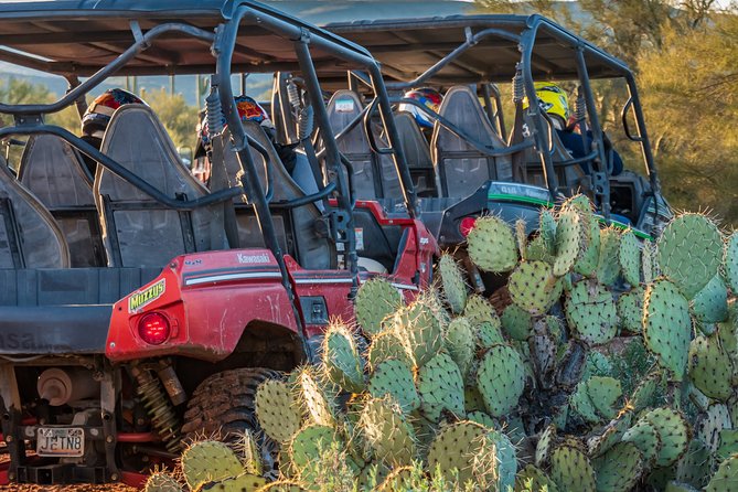Guided Arizona Desert Tour by UTV - Centipede Tour - Who Will Enjoy This Most
