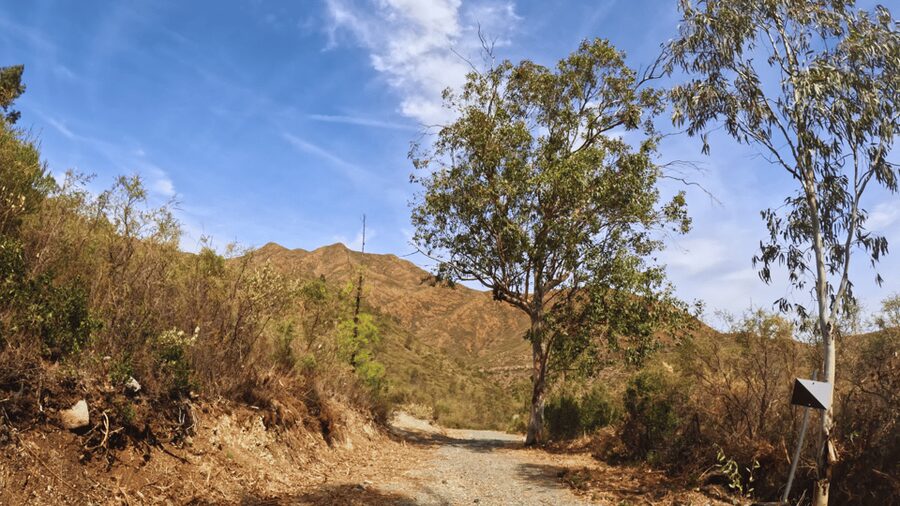 Guided Buggy Tour Mijas - Fuente del Becerril, a useful first photo stop