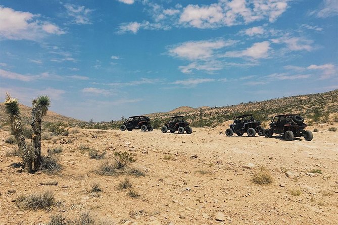 Guided Mojave Desert Off Road RZR Adventure - Who will enjoy this most