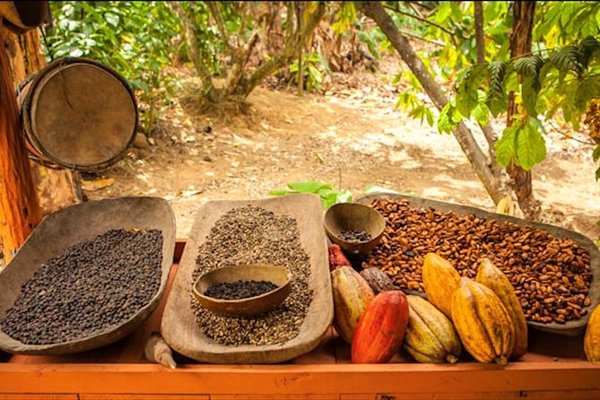 Half-Day Adventure 4x4 ATV, Water Cave and Dominican Culture - The countryside farm stop