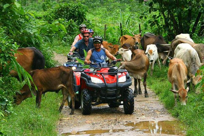 Half-Day Adventure 4x4 ATV, Water Cave and Dominican Culture - Pickup takes longer than the advertised four hours