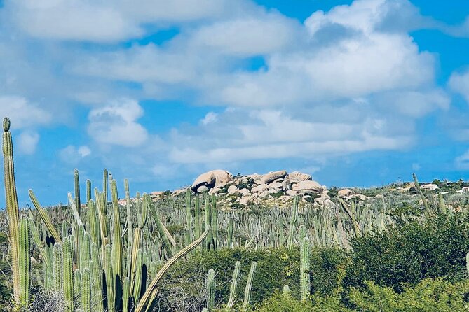 Half-Day Aruba UTV Adventure Tour - Driving a UTV on Aruba’s mixed roads