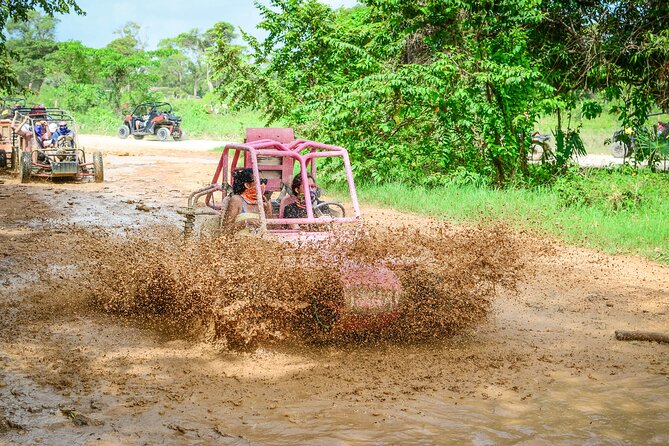 Half-Day Buggy Tour to Water Cave and Macao Beach - The organic farm stop is really a tasting visit
