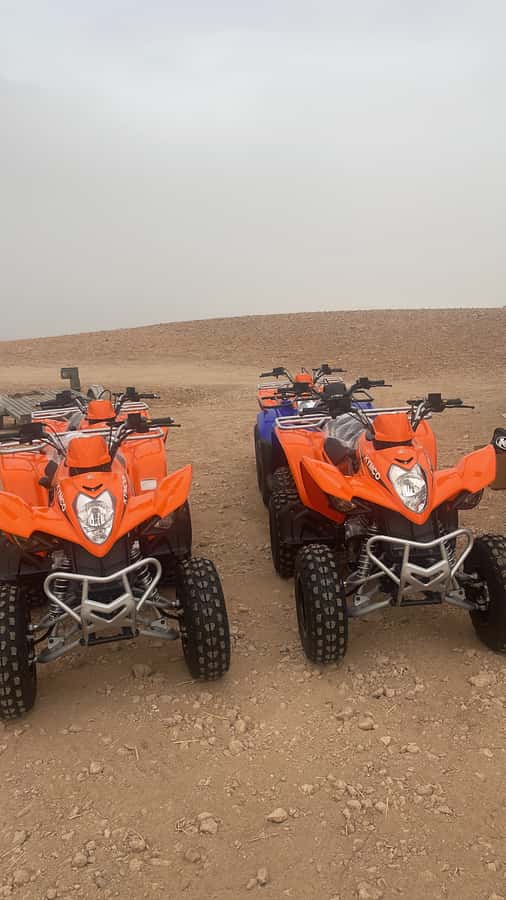 Half day Quad biking at Agafay Desert - Key points at a glance