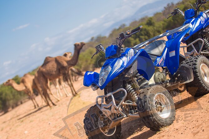 Half-day QUAD In Agadir + pick-up included from Agadir - Speed, supervision, and the fun factor