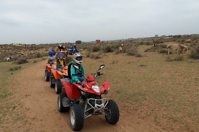 Half-day QUAD In Agadir + pick-up included from Agadir - How the $52.15 price works out