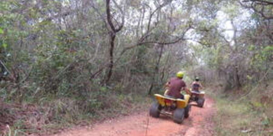 Hazyview : 30 minutes Quad Ride - Riding around the macadamia plantation