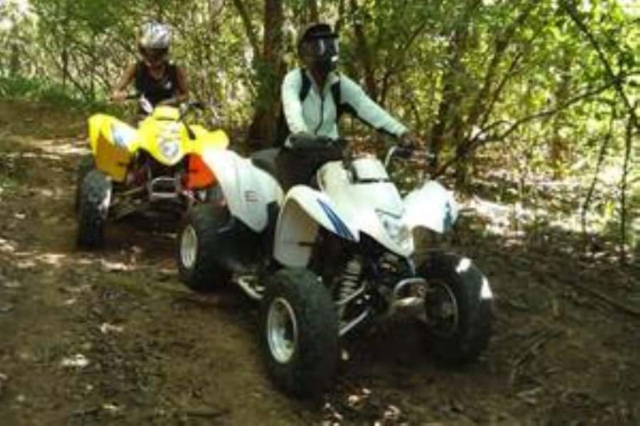 Hazyview: Guided Macadamia Plantation and Forest Quad Safari - Key points to know