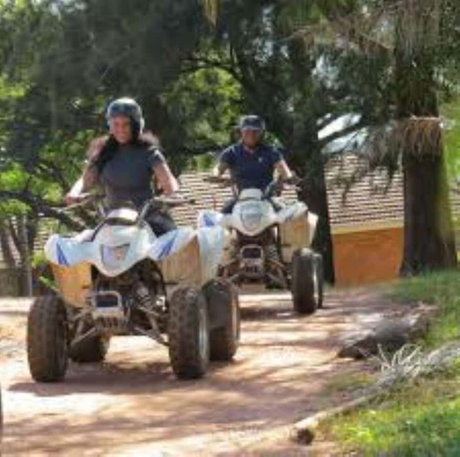 Hazyview: Guided Macadamia Plantation and Forest Quad Safari - Starting at Extreme Adventure Camp in Hazyview