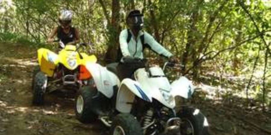 Hazyview: Guided Macadamia Plantation and Forest Quad Safari - Age rules and group fit