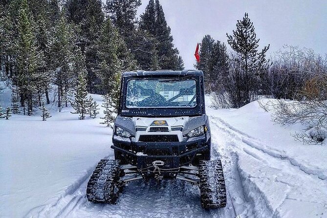 Heated and Enclosed ATV Tour in Alaska. Open All Year Round - Driving your own UTV through the Talkeetna Mountains