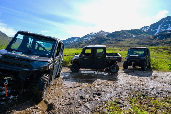 Heated and Enclosed ATV Tour in Alaska. Open All Year Round - Hatcher Pass scenery and possible wildlife