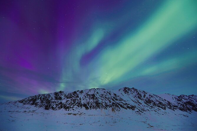 Heated and Enclosed ATV Tour in Alaska. Open All Year Round - Guides who shape the experience