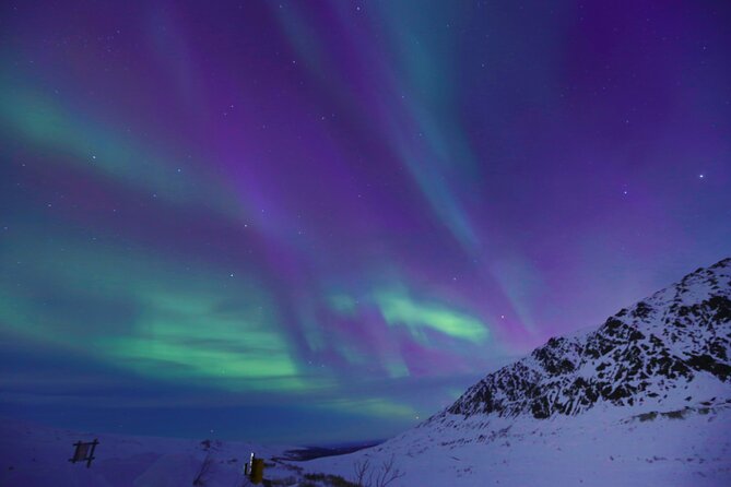 Heated and Enclosed ATV Tour in Alaska. Open All Year Round - Who will enjoy this outing most?