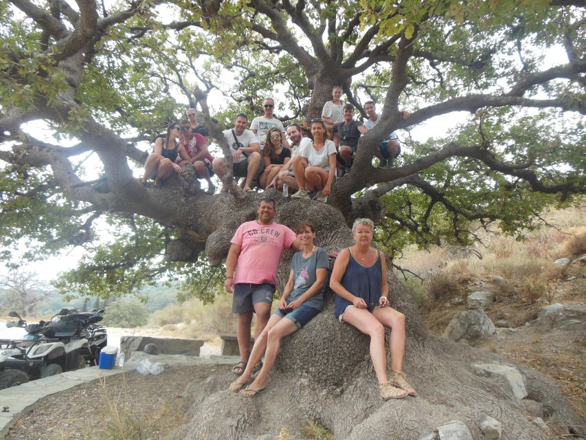 Hersonisos - Malia :off-road quad safari with transfer+Lunch - Vassilakis Estate and the taste of Crete