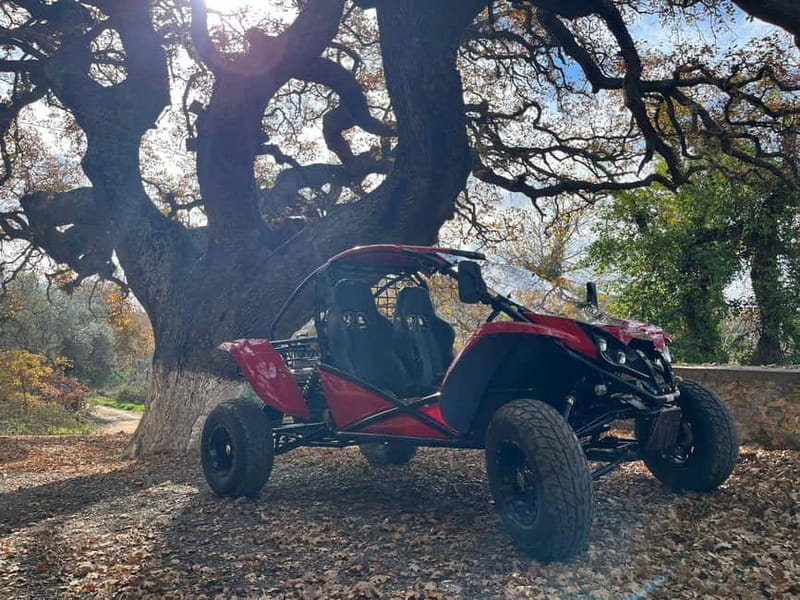 Hersonissos: Buggy Adventure Tour - The canyon ride back to Hersonissos
