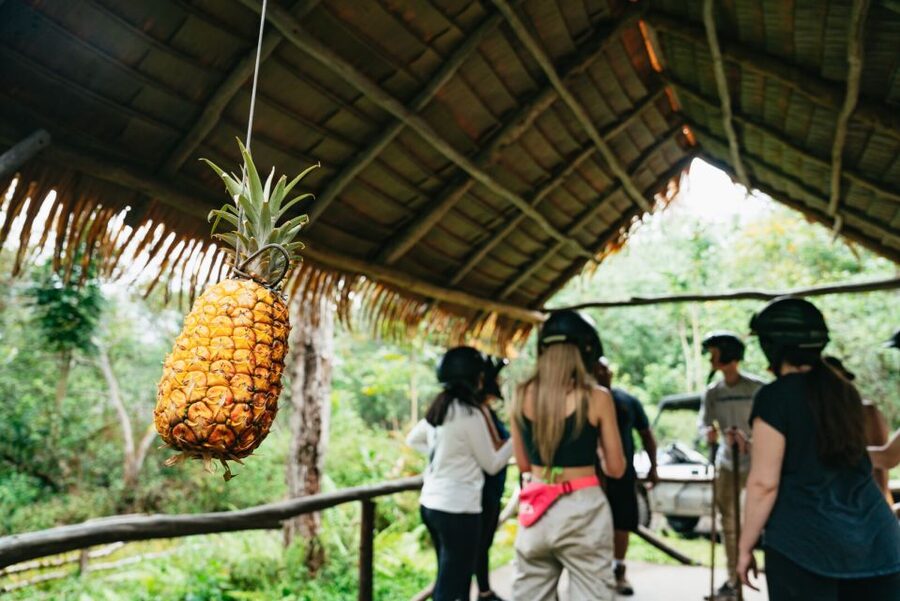 Holualoa: Polynesian Culture ATV Tour - Who will enjoy this most