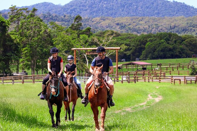 Horse and Quad bike tour with a visit to a Petting Zoo - Key points to know before you book