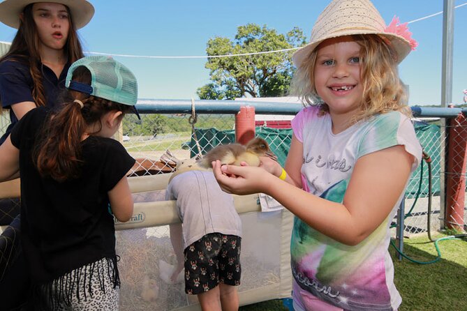 Horse and Quad bike tour with a visit to a Petting Zoo - How much value do you get for $128.39?