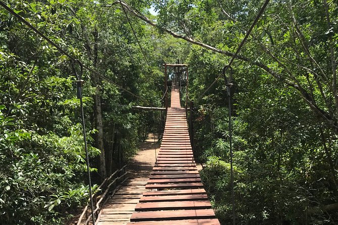 Horseback riding and ATV in the jungle, Ziplines, Cenote & Lunch - Lunch, water, and the surprise timing issue