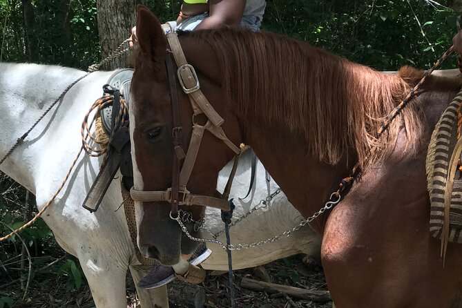 Horseback riding with ATV, zip lines and cenote, lunch and transfer - What to pack for a smoother day