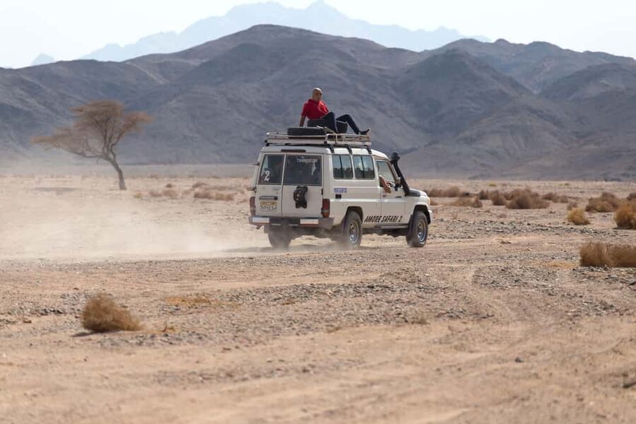 Hurghada: ATV Quad, Jeep and Buggy Safari with BBQ Dinner - What this Hurghada desert day actually offers