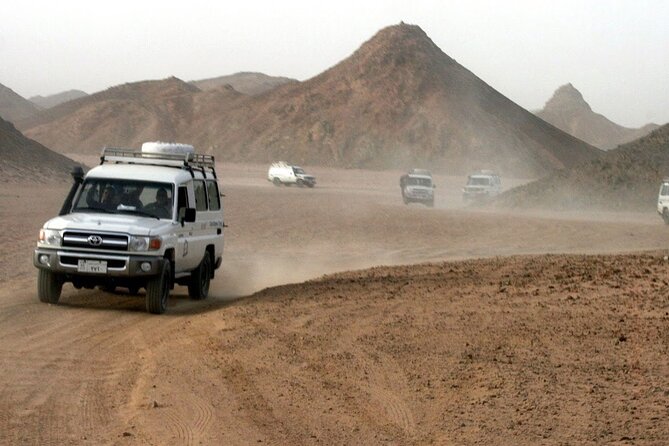 Hurghada: ATV Quad Safari, Camel Ride & Bedouin Village Tour - Riding the Hurghada desert by quad