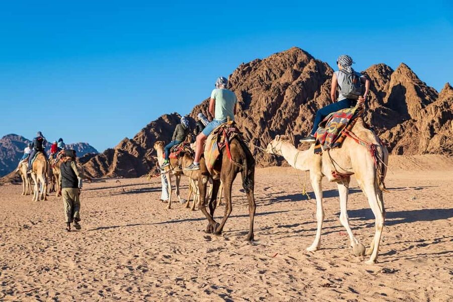 Hurghada: Jeep and ATV Quad with Dinner & Desert Fire Show - The camel ride is traditional but very brief