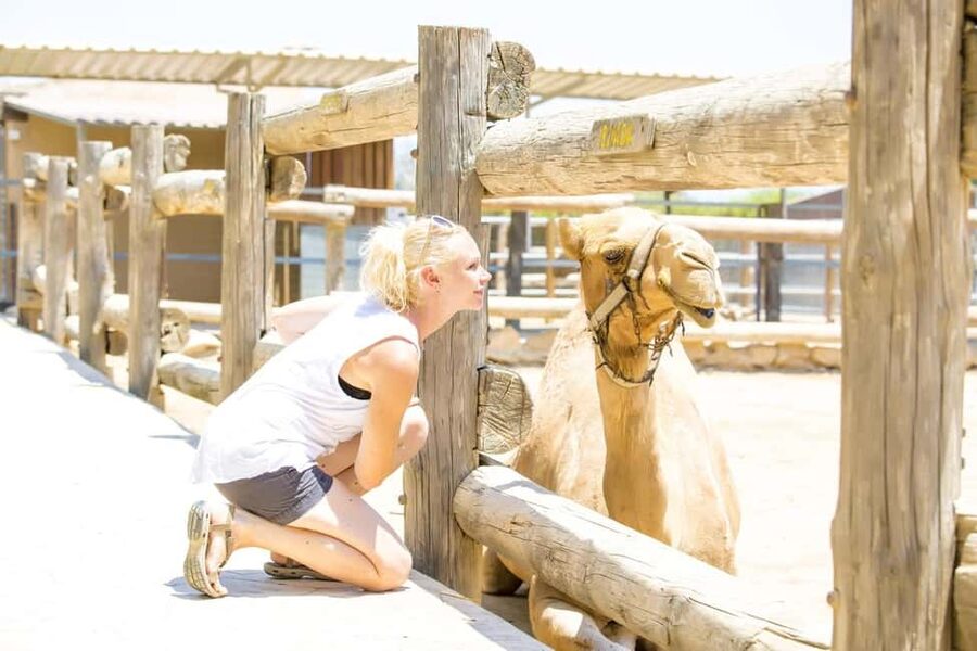 Hurghada: Mega Jeep safari, ATV & Bedouin vibe, and Dinner - Guide quality and group comfort