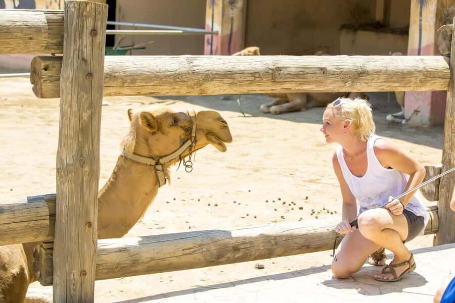 Hurghada: Mega Jeep safari, ATV & Bedouin vibe, and Dinner - Who will enjoy this tour most