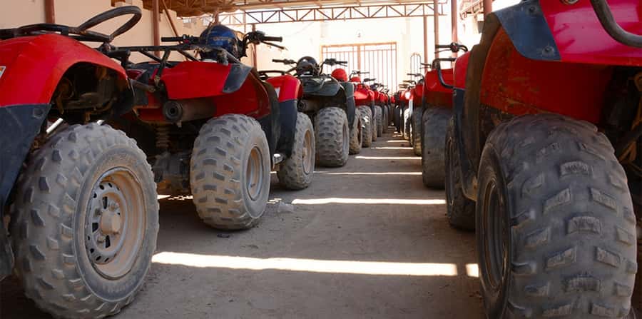 Hurghada: Morning Quad Bike Tour, Camel Ride and Transfer - Should you book it?