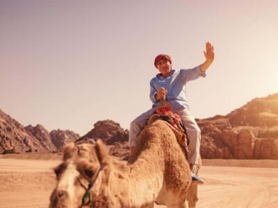 Hurghada: Morning Quad Bike Tour, Camel Ride and Transfer