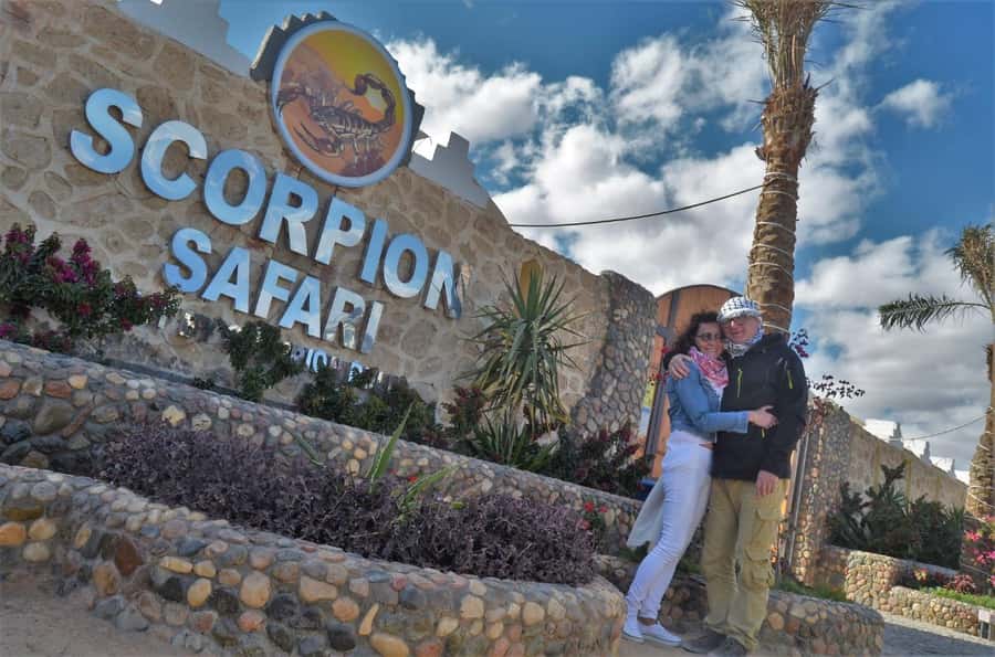 Hurghada: Quad and Buggy Safari with Dinner and Show - Switching to the 15-minute buggy ride