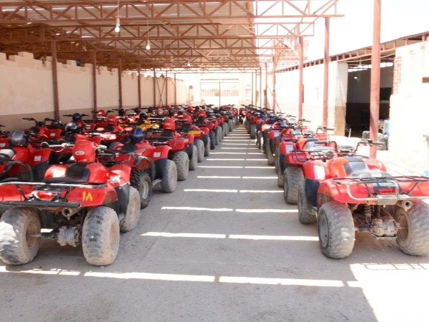Hurghada Quad & ATV Ride with Camel, Desert Vibes & Sea View - Value at $10, and where the price can change