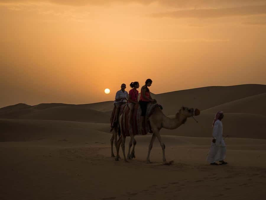 Hurghada: Quad Bike, Camel, Show, Dinner, & Stargazing Trip - Key points at a glance