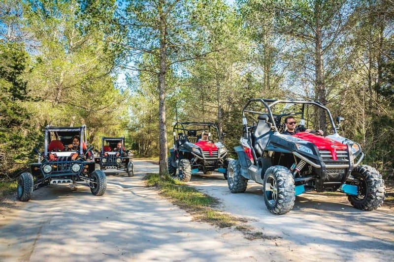 Ibiza: Buggy Excursion to Explore Beaches and Unique Views - The high-season swim stop
