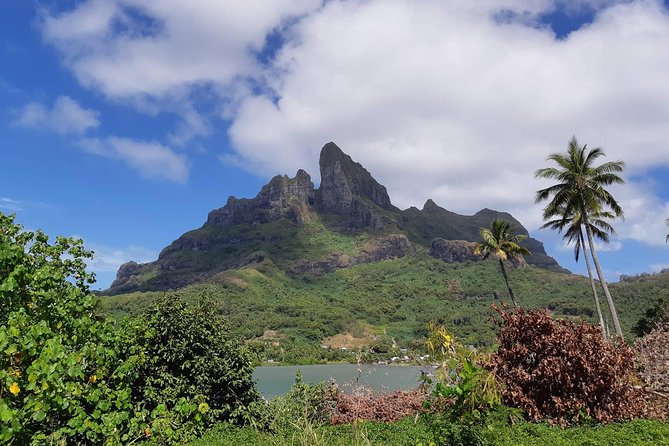 Island Tour & Getaway on the Bora Bora Mountains by Quad / ATV - Why ride inland when Bora Bora is famous for water?