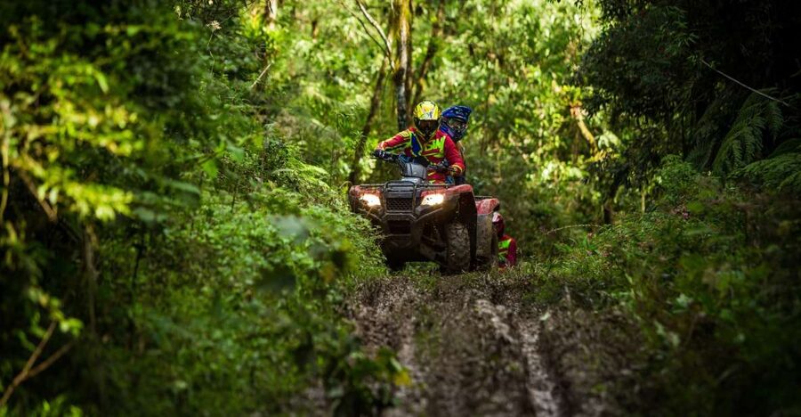 Istanbul: Belgrad Forest ATV Tour with Ziplining Option - Forty minutes on a rough forest track