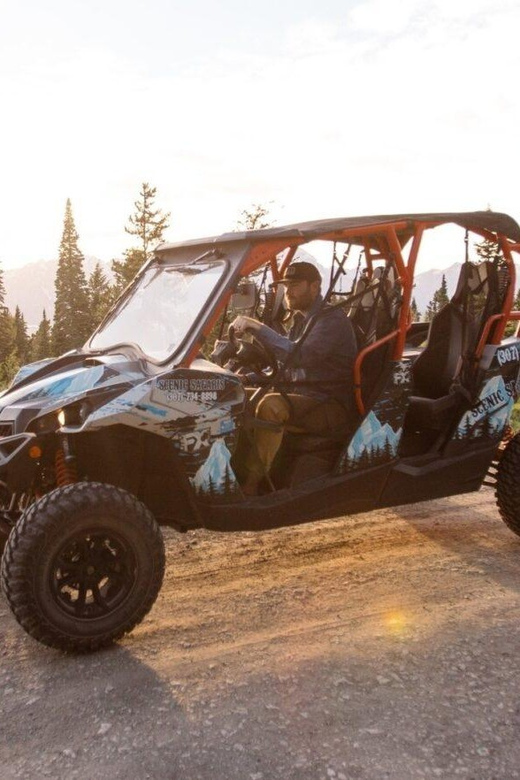 Jackson Hole: Togwotee Mountain Lodge UTV Rental - Who will enjoy this ride most?