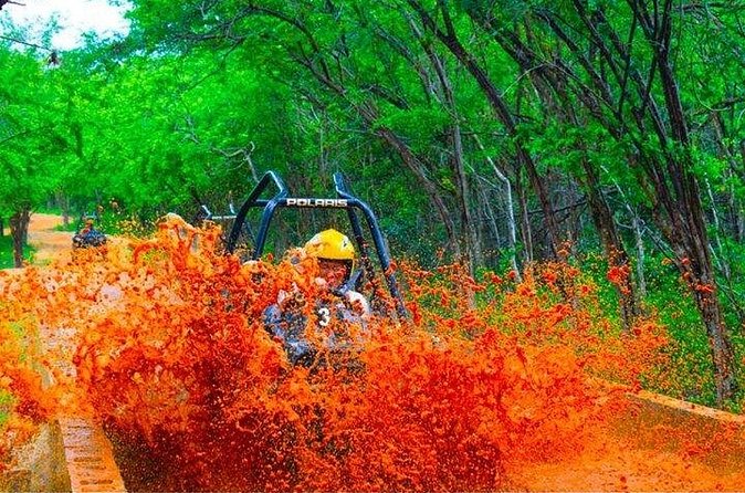 Jamwest ATV Off-Road Adventure & Zipline Combo in Negril - Moving from four wheels to the forest canopy