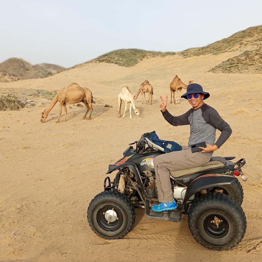 Jeddah Desert Safari: Quad Biking, Camel Farm & Sunset Views - Is $221 a Fair Price?