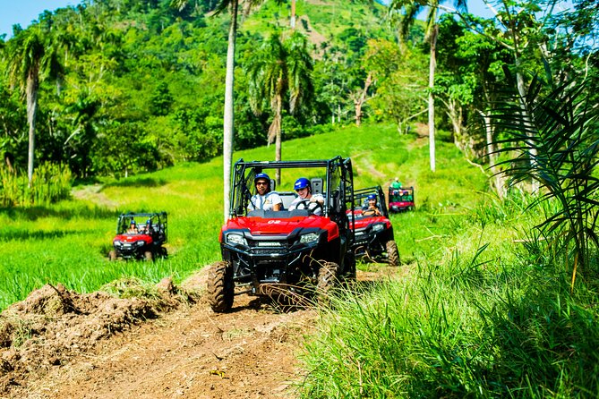 Jungle Buggies + Ziplines Adventures - Key points to know before you book