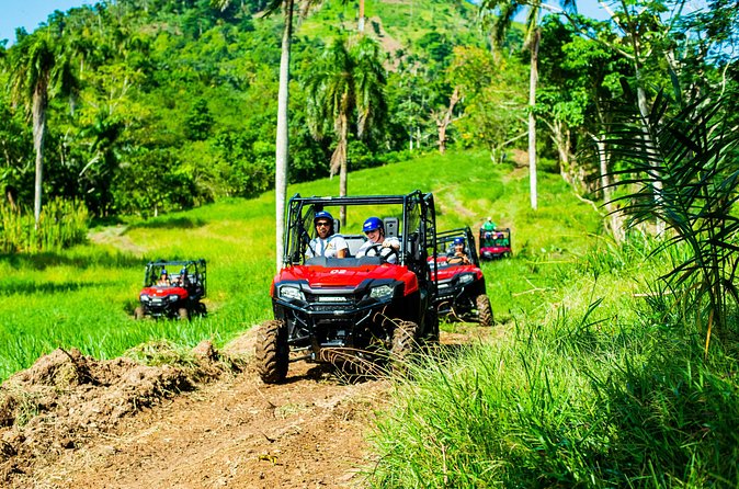 Jungle Buggies + Ziplines Adventures - Twelve zip lines across eighteen platforms