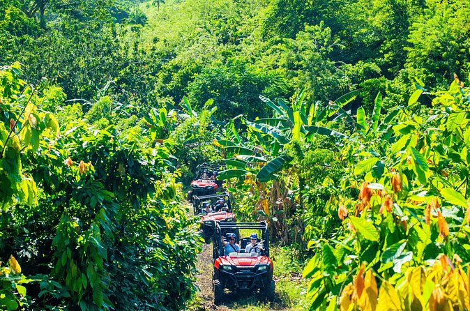 Jungle Buggies + Ziplines Adventures - How the guides affect the experience