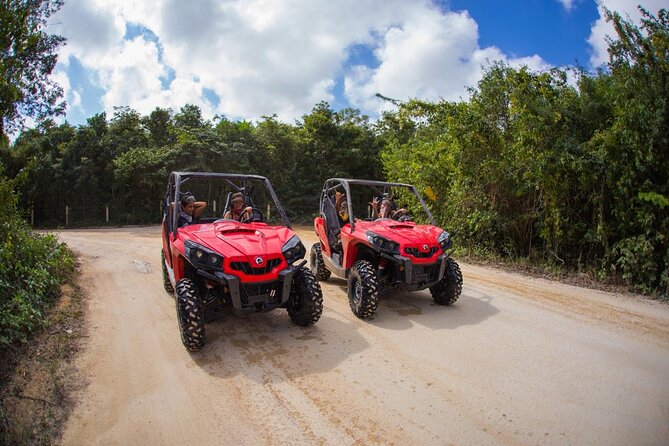 Jungle Buggy Tour from Playa del Carmen Including Cenote Swim - Starting from Playa del Carmen