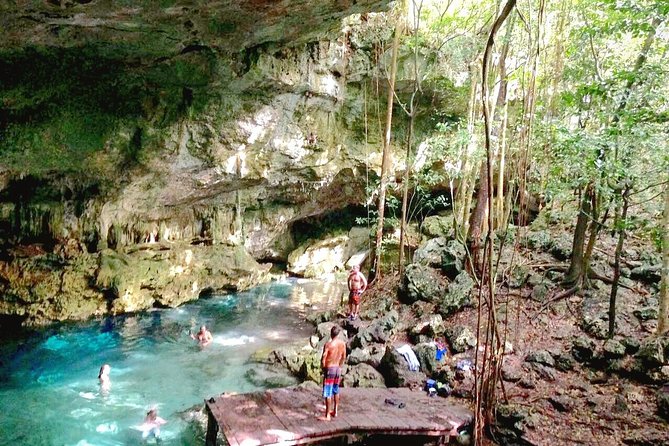 Jungle Buggy Tour from Playa del Carmen Including Cenote Swim - The cenote cave is the real reward