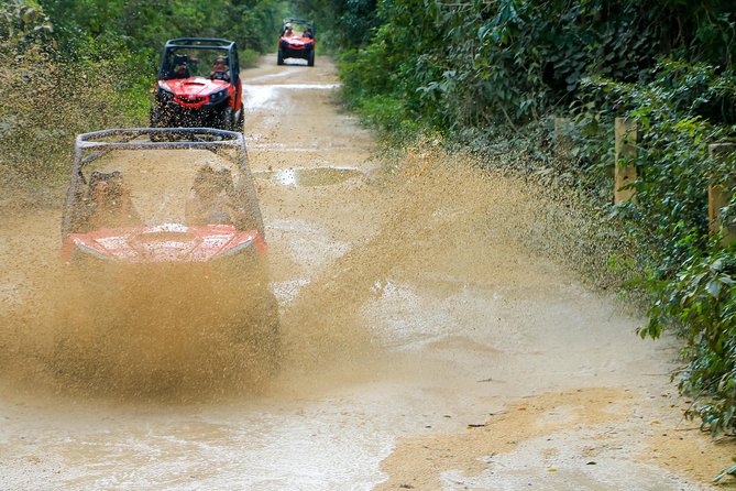 Jungle Buggy Tour from Playa del Carmen Including Cenote Swim - Guides who add more than directions