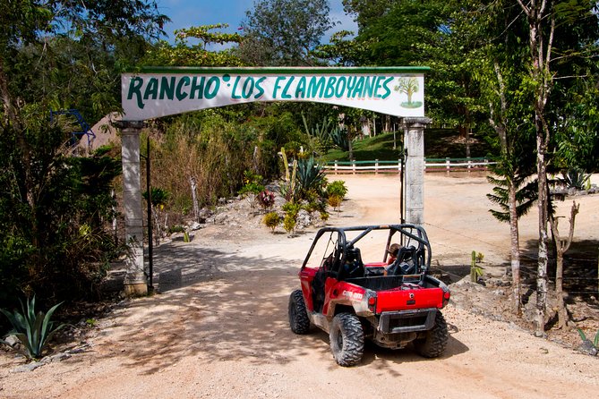 Jungle Buggy Tour from Playa del Carmen Including Cenote Swim - What to pack, and what to leave behind